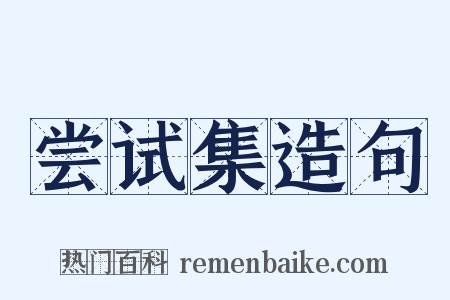 尝试集造句是什么意思的图片